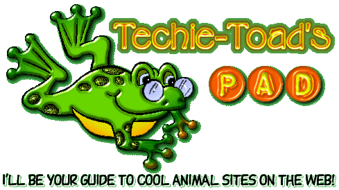 Techie Toad's Pad: Animals On the Web!